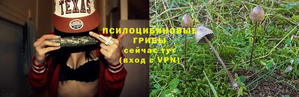 амф Зерноград